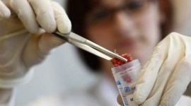 Escândalo da carne de cavalo na Europa atinge a Nestlé e o JBS