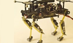 Cientistas suíços criam robô inspirado nos gatos